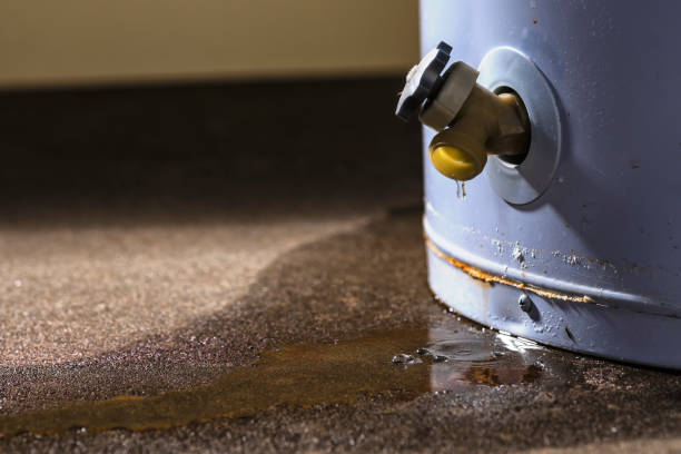 Best Water damage cleanup near me  in Camp Hill, PA