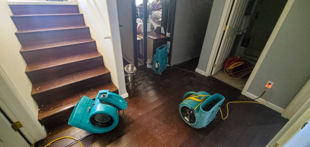 Best Professional water damage repair  in Camp Hill, PA
