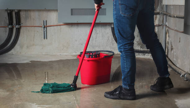 Best Residential water damage restoration  in Camp Hill, PA