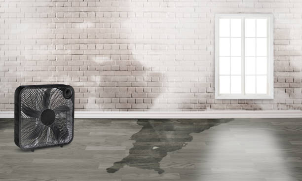 Trusted Camp Hill, PA Water damage restoration Experts
