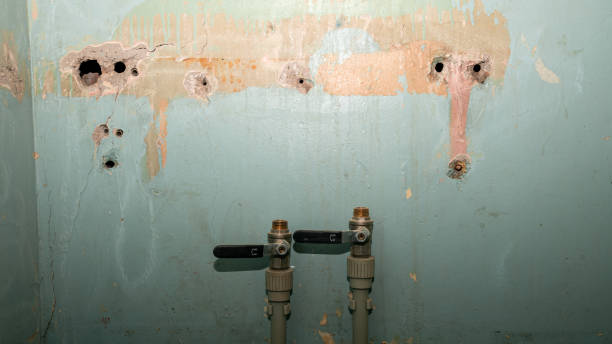 Best Emergency water extraction  in Camp Hill, PA