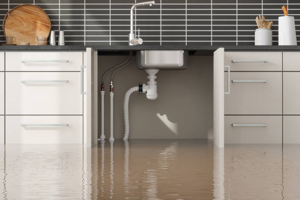 Best Flood damage cleanup  in Camp Hill, PA