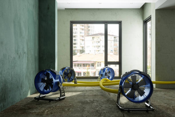 Best Water damage restoration near me  in Camp Hill, PA